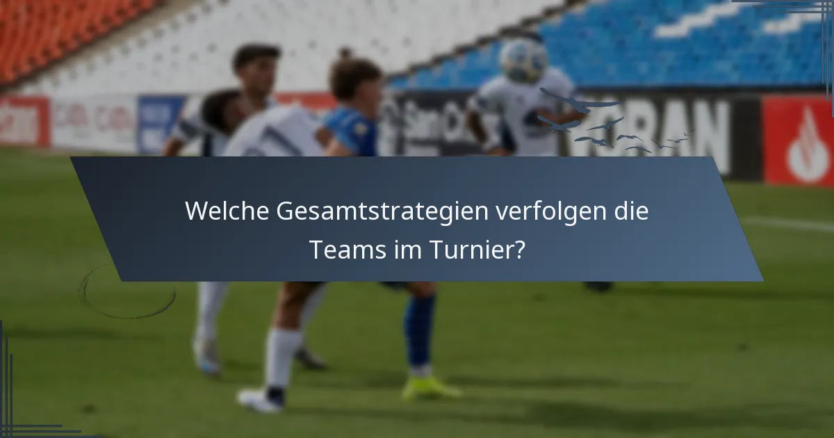 Welche Gesamtstrategien verfolgen die Teams im Turnier?