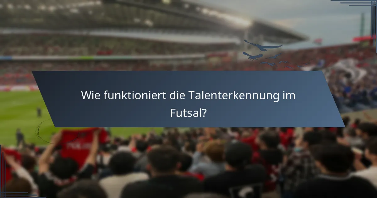Wie funktioniert die Talenterkennung im Futsal?