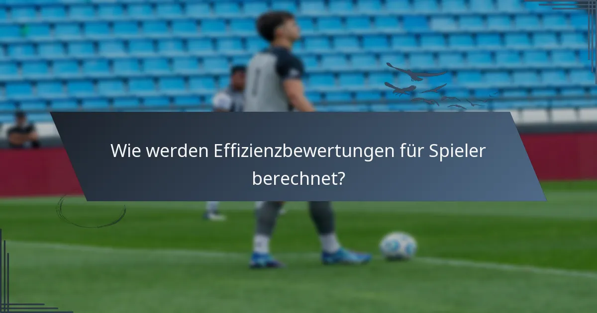Wie werden Effizienzbewertungen für Spieler berechnet?